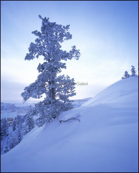 Bryce Canyon