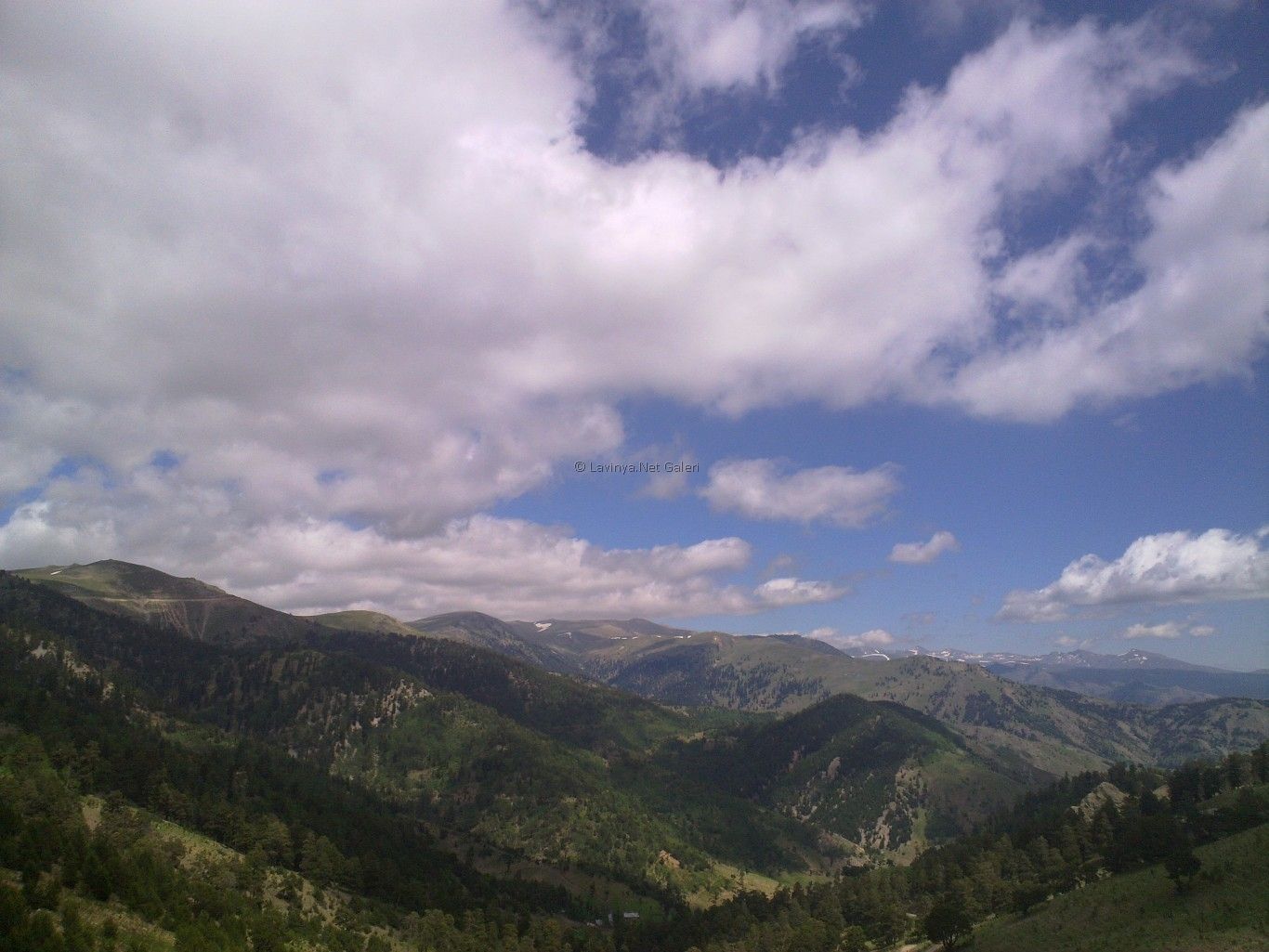 Kurtbeli