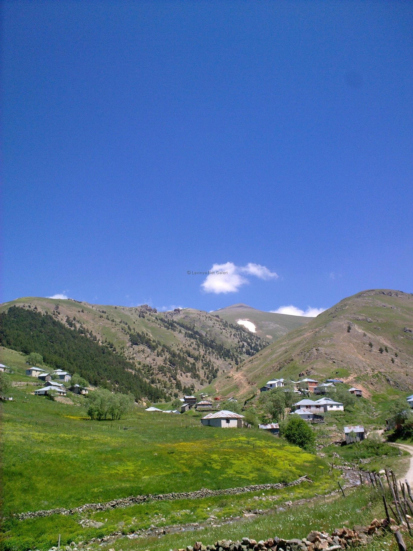 Gümüşlük