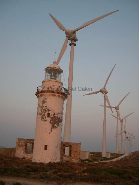 Polente feneri