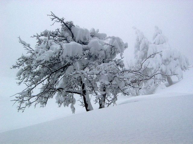 Kış