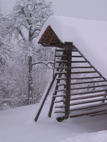 Kış