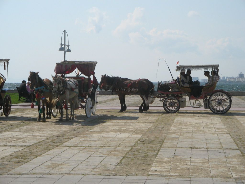 izmirde at arabaları