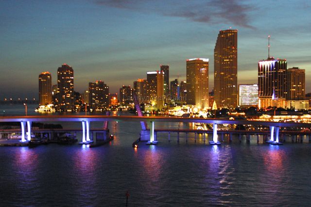 Miami Night