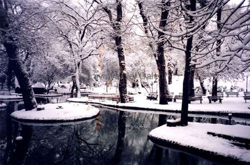 Kuğulupark