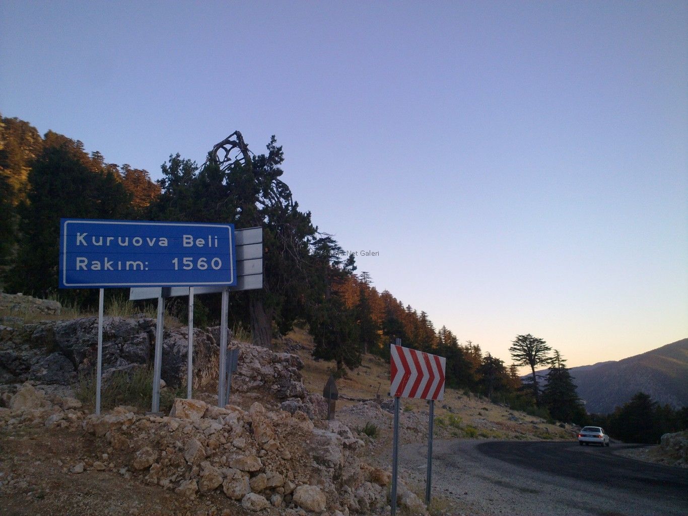 Kuruova Beli Geçidi