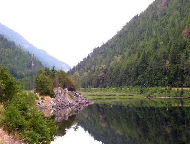 Doğaa
