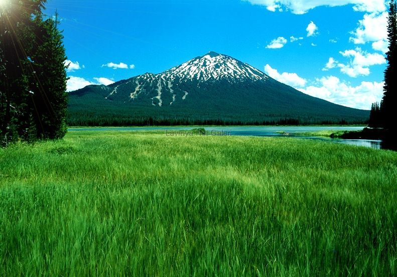 Manzara