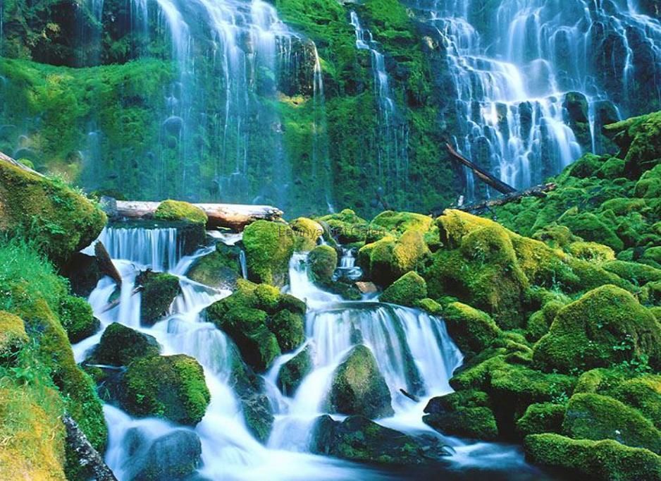 Oregon