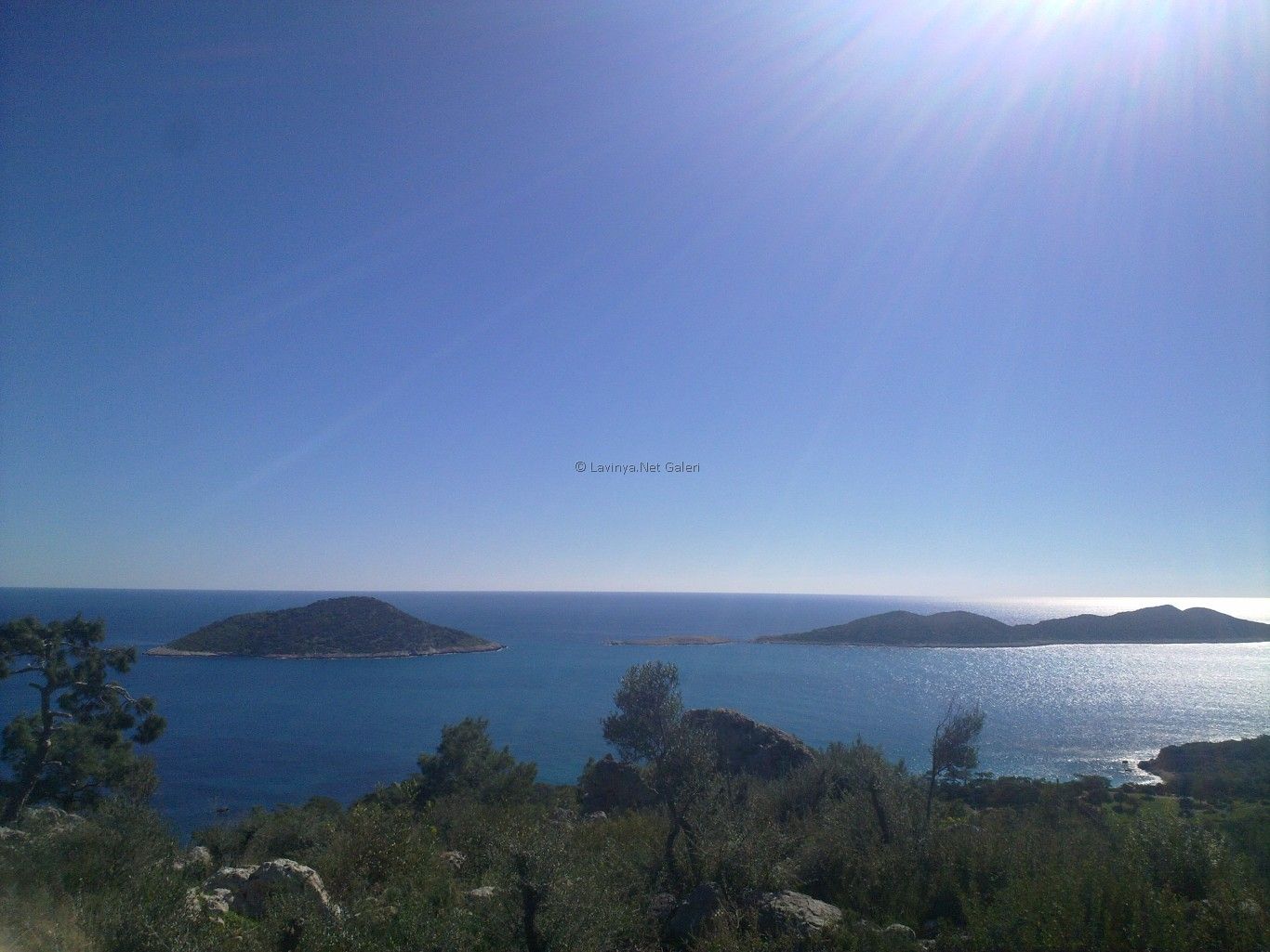 Patara Koylarından