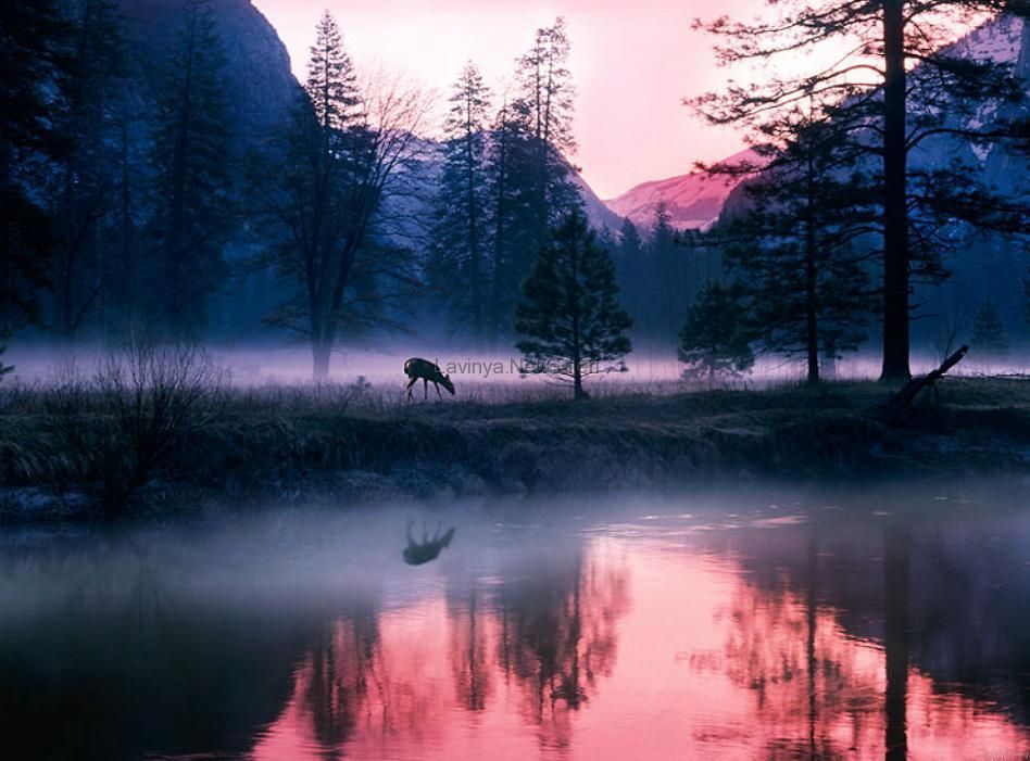 Yosemita Ulusal Parkı