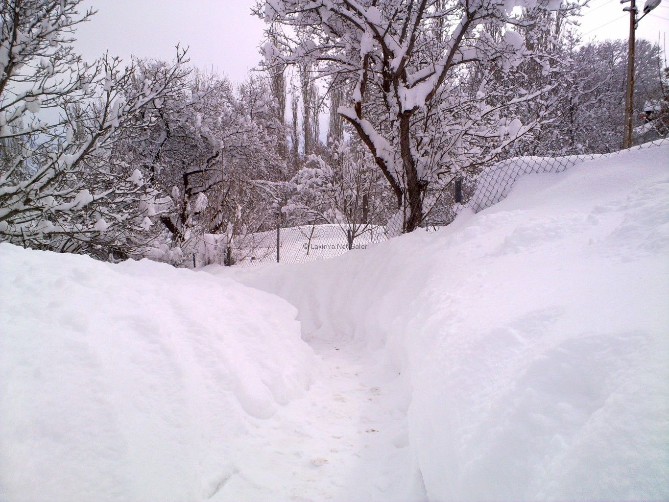 Kış