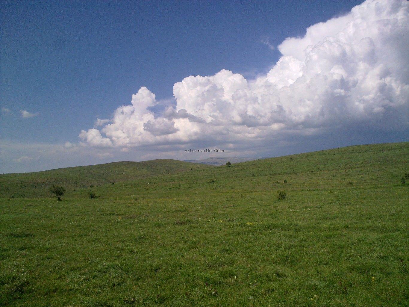 Bulutlar