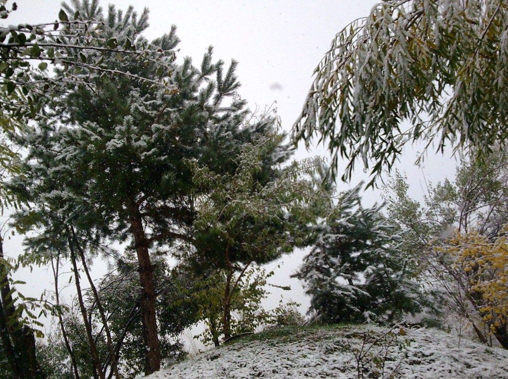 15 Kasım 2009