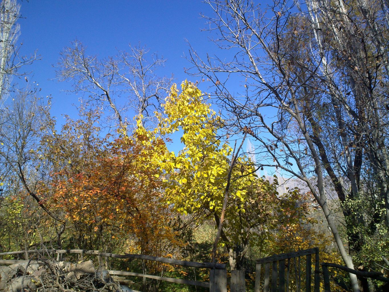 20 Kasım 2011