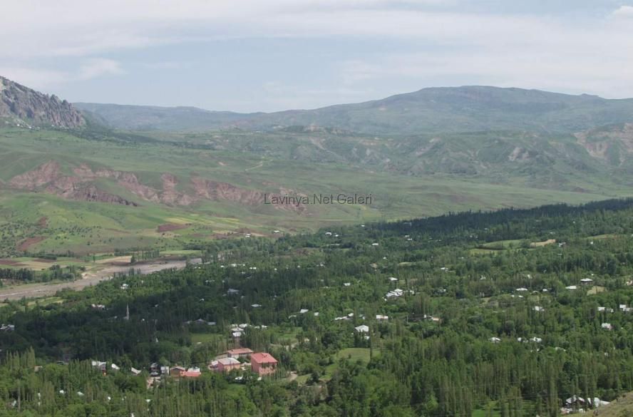 Şebinkarahisar