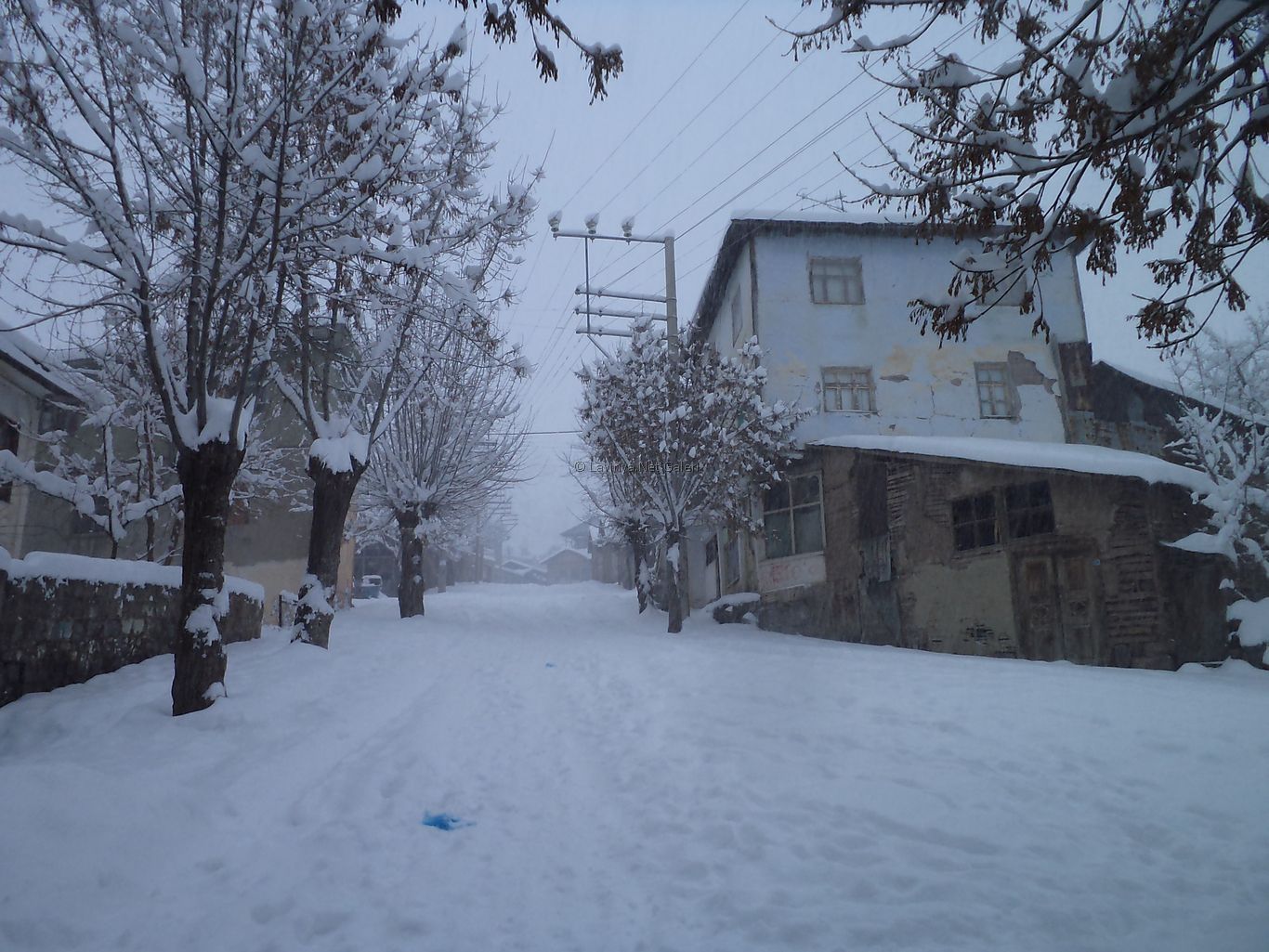 Şebinkarahisar