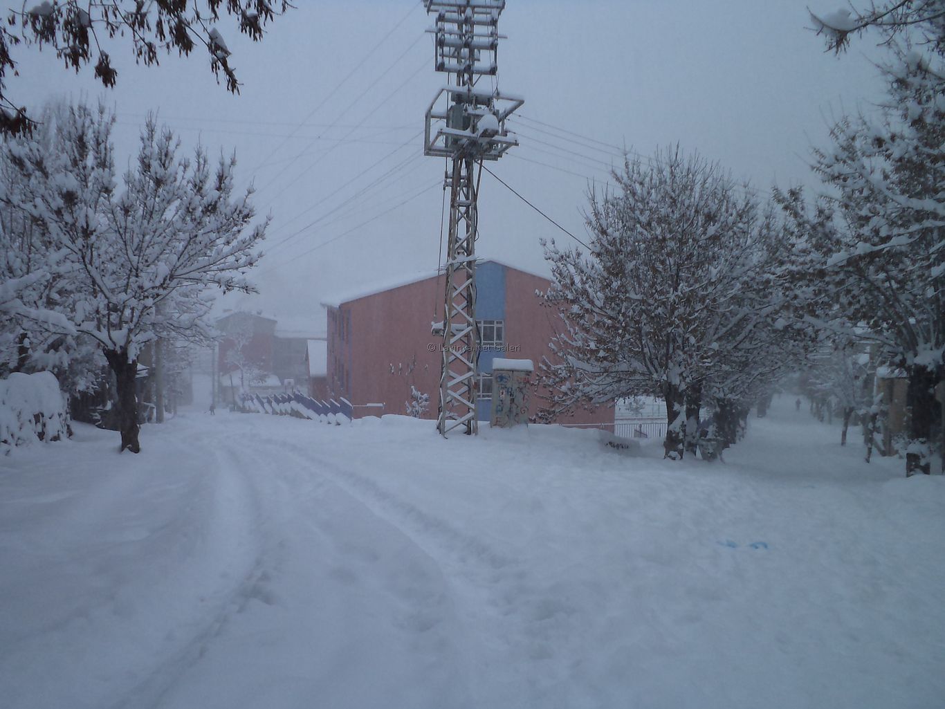 Şebinkarahisar