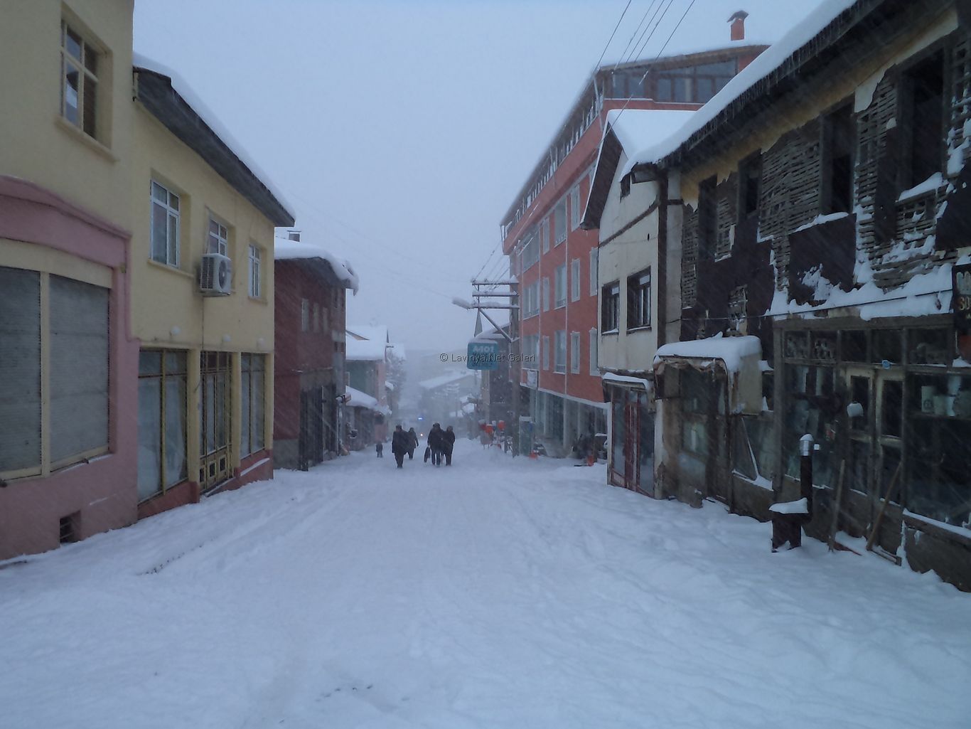 Şebinkarahisar