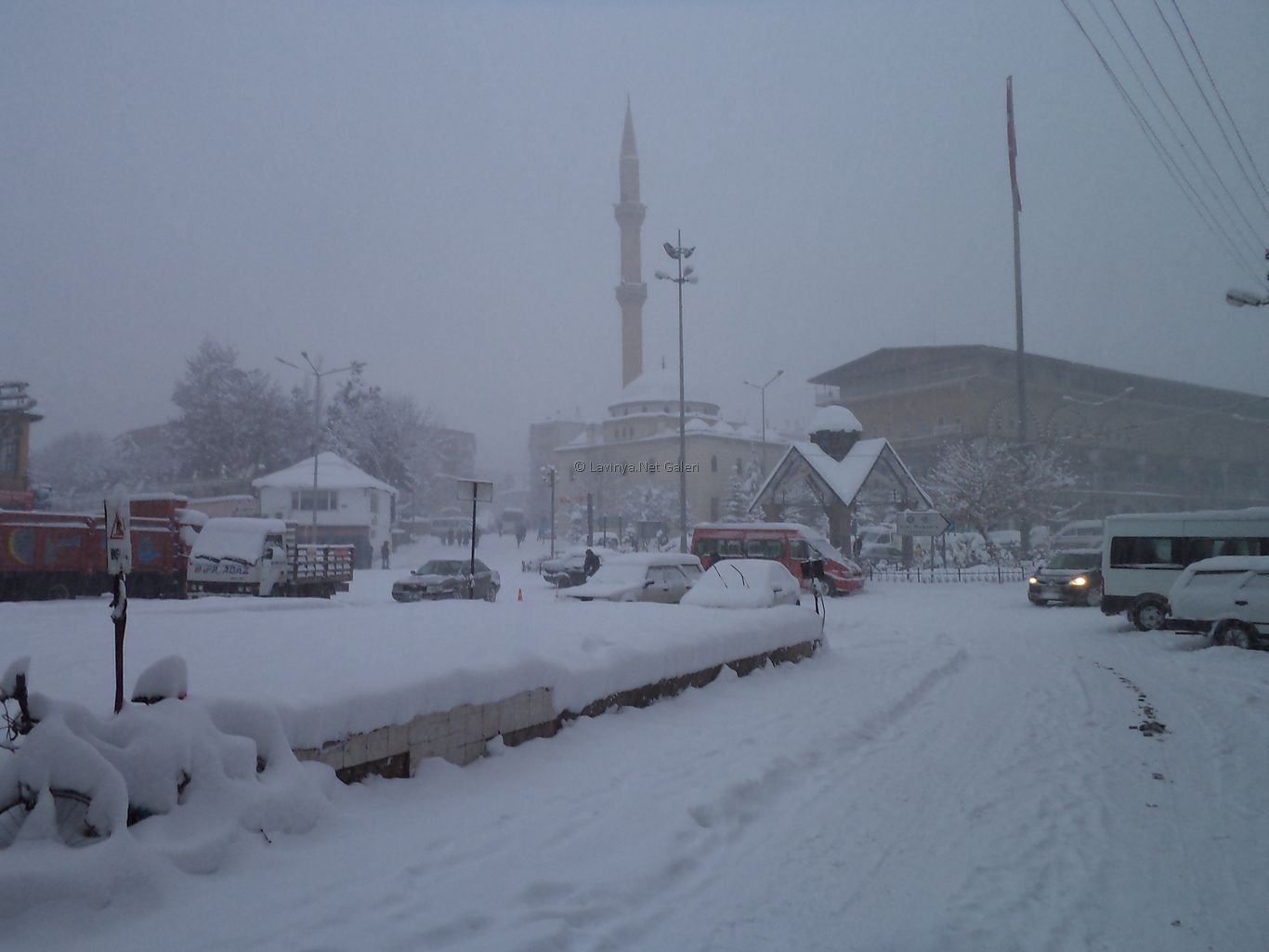 Şebinkarahisar