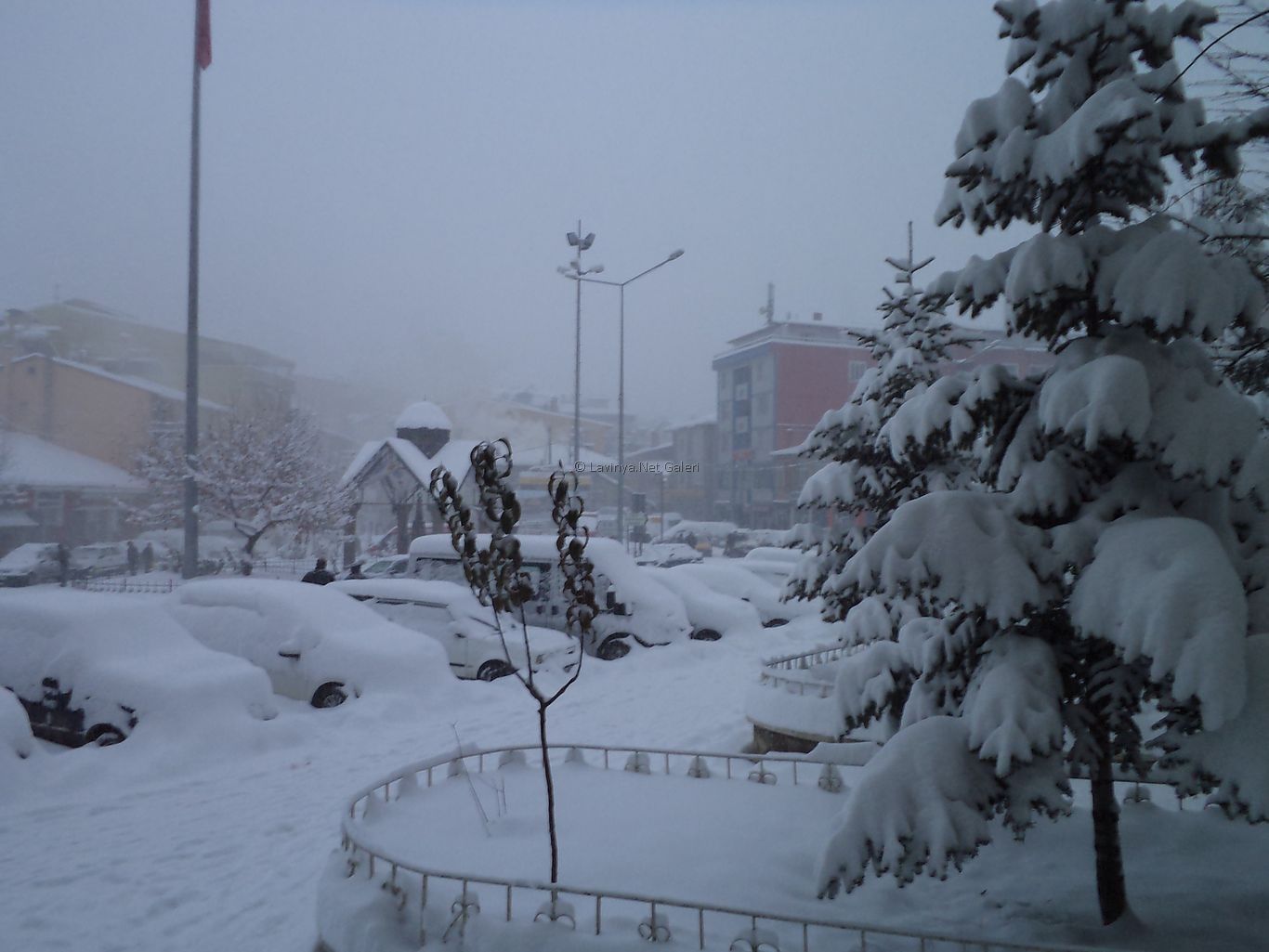 Şebinkarahisar'da Kış