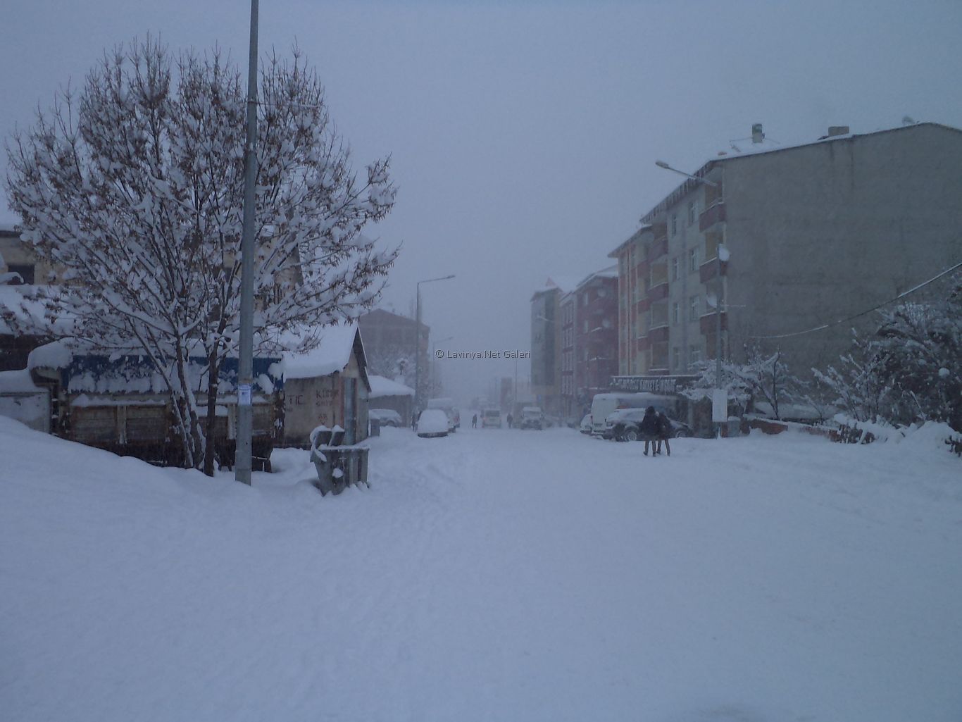 Şebinkarahisar'da Kış 2013