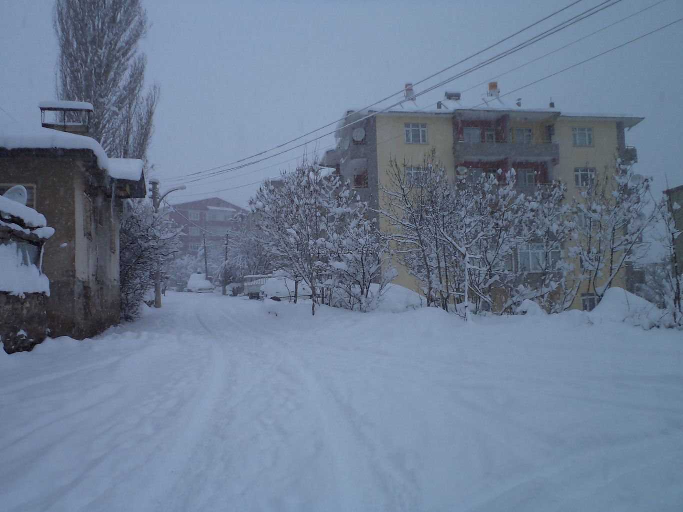Şebinkarahisar