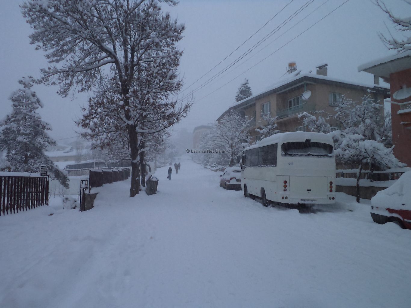 Şebinkarahisar
