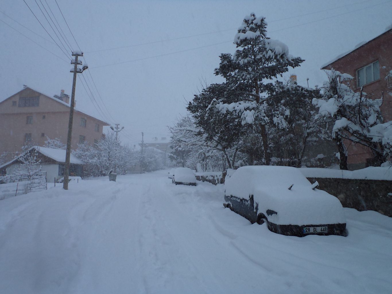 Şebinkarahisar