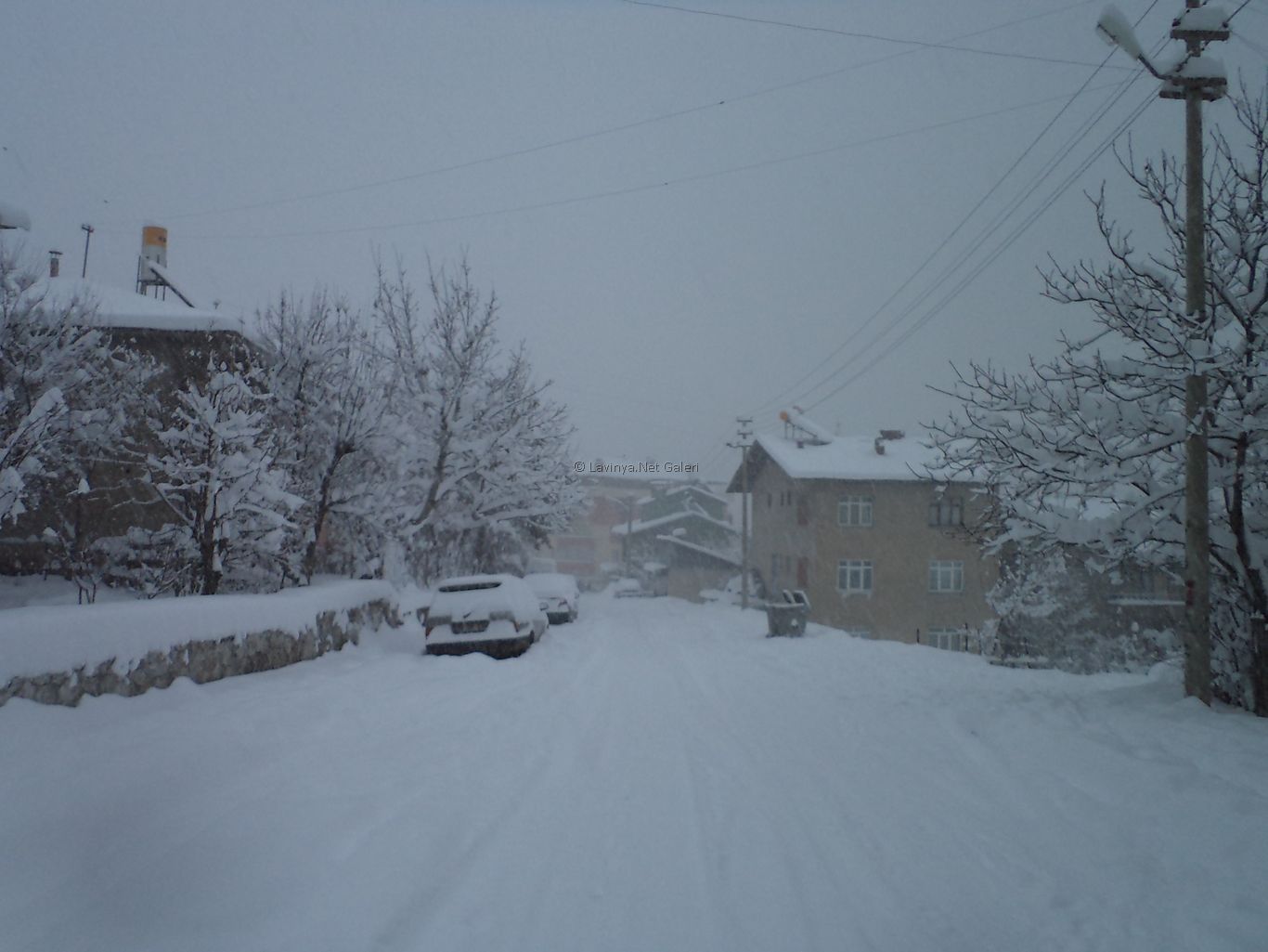 Şebinkarahisar