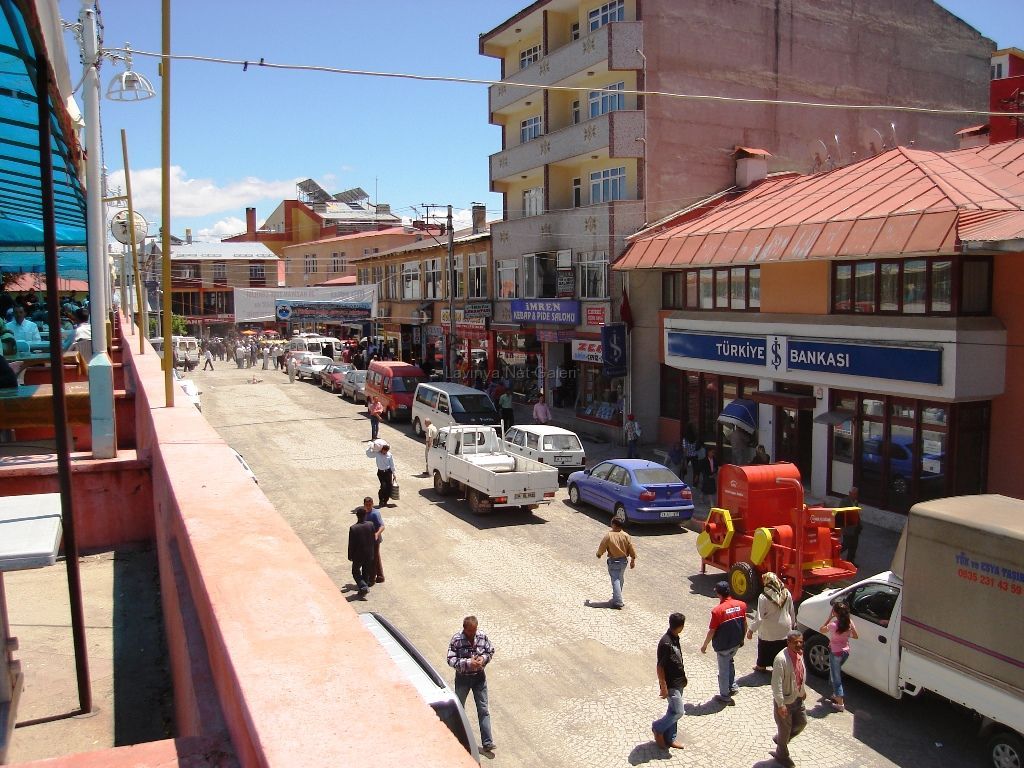 şebinkarahisar