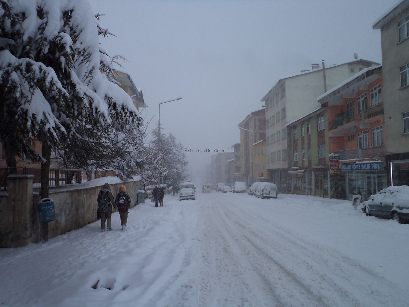 Şebinkarahisar
