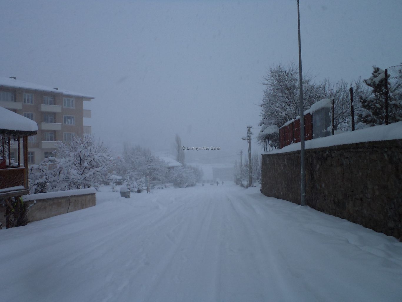 Şebinkarahisar'da Kış
