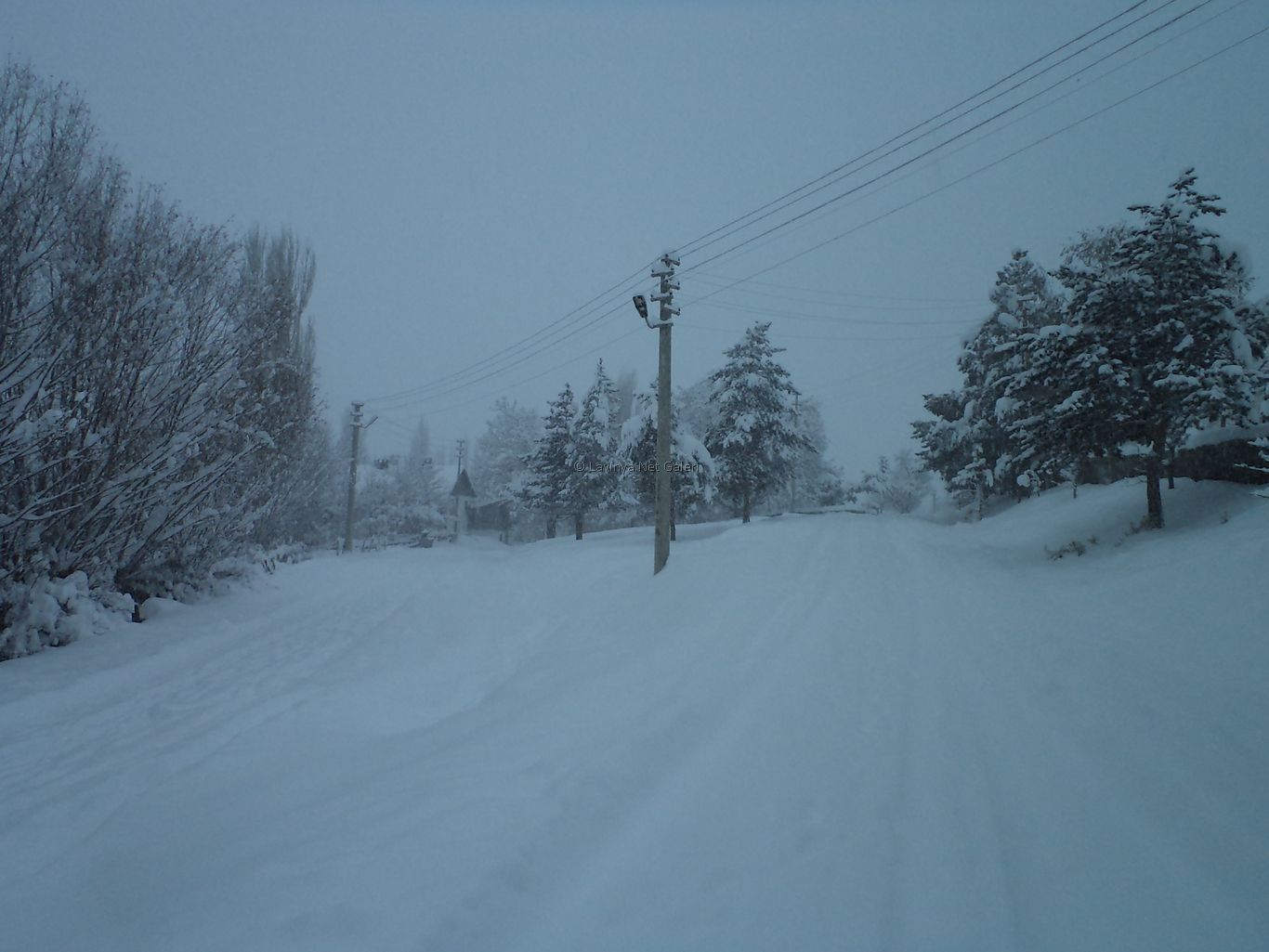 Şebinkarahisar