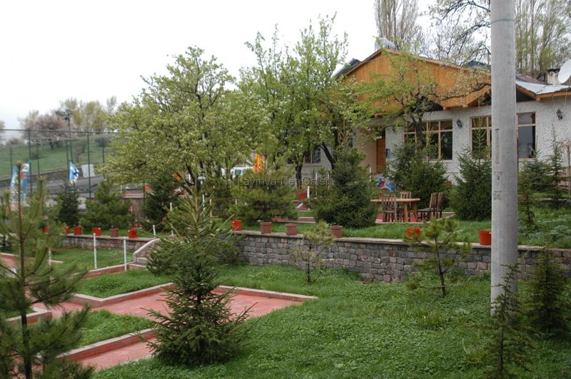Şebinkarahisar