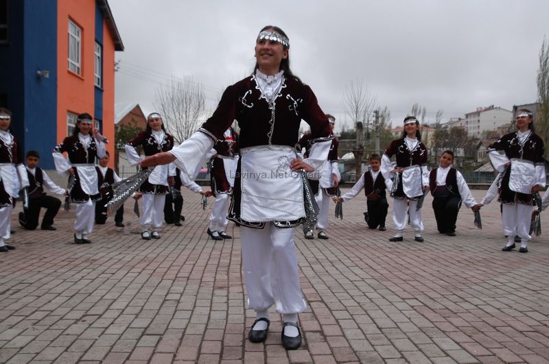 Şebinkarahisar