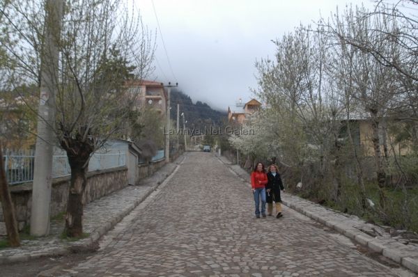 Şebinkarahisar