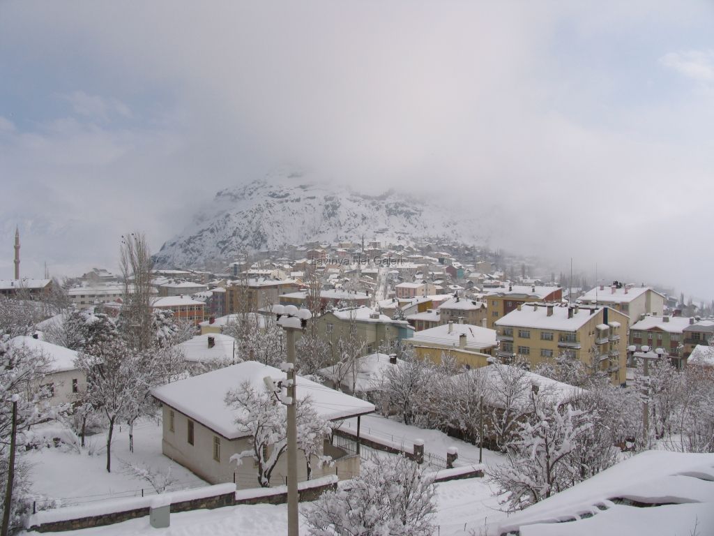 Sebinkarahisar