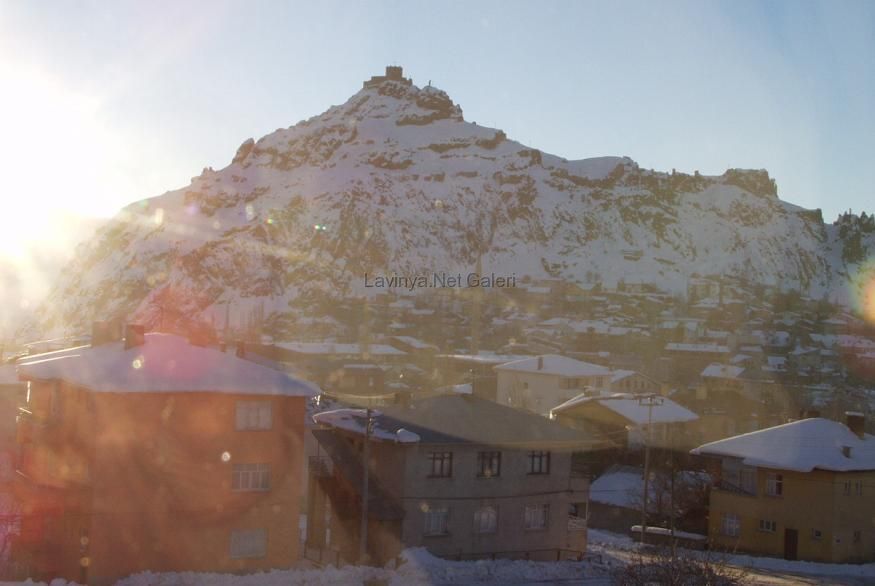 Şebinkarahisar