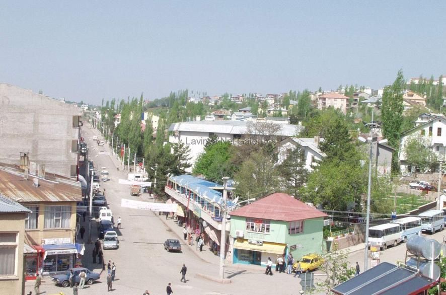 Şebinkarahisar