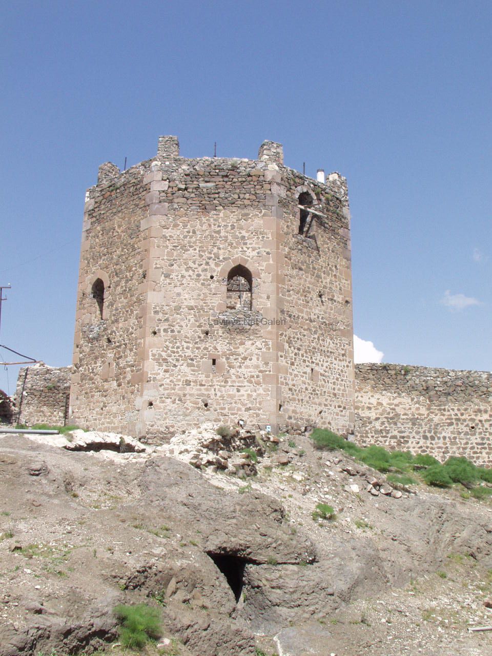 Şebinkarahisar
