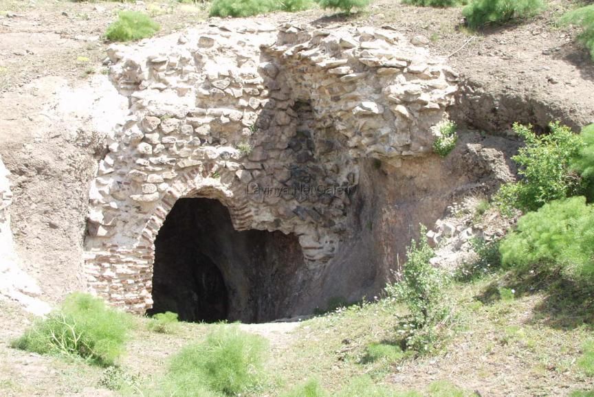 Şebinkarahisar