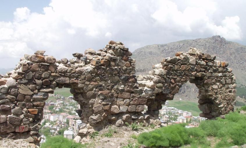 Şebinkarahisar