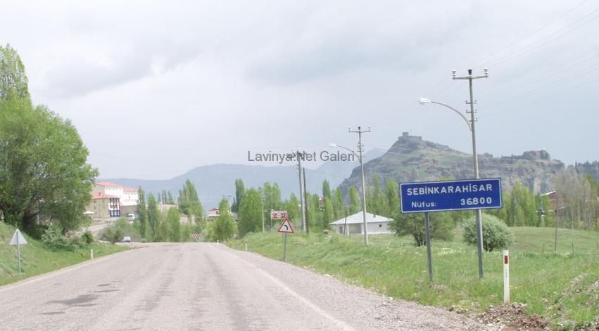 Şebinkarahisar