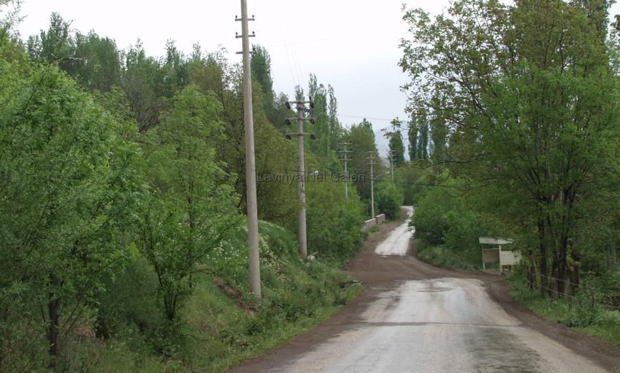 Şebinkarahisar