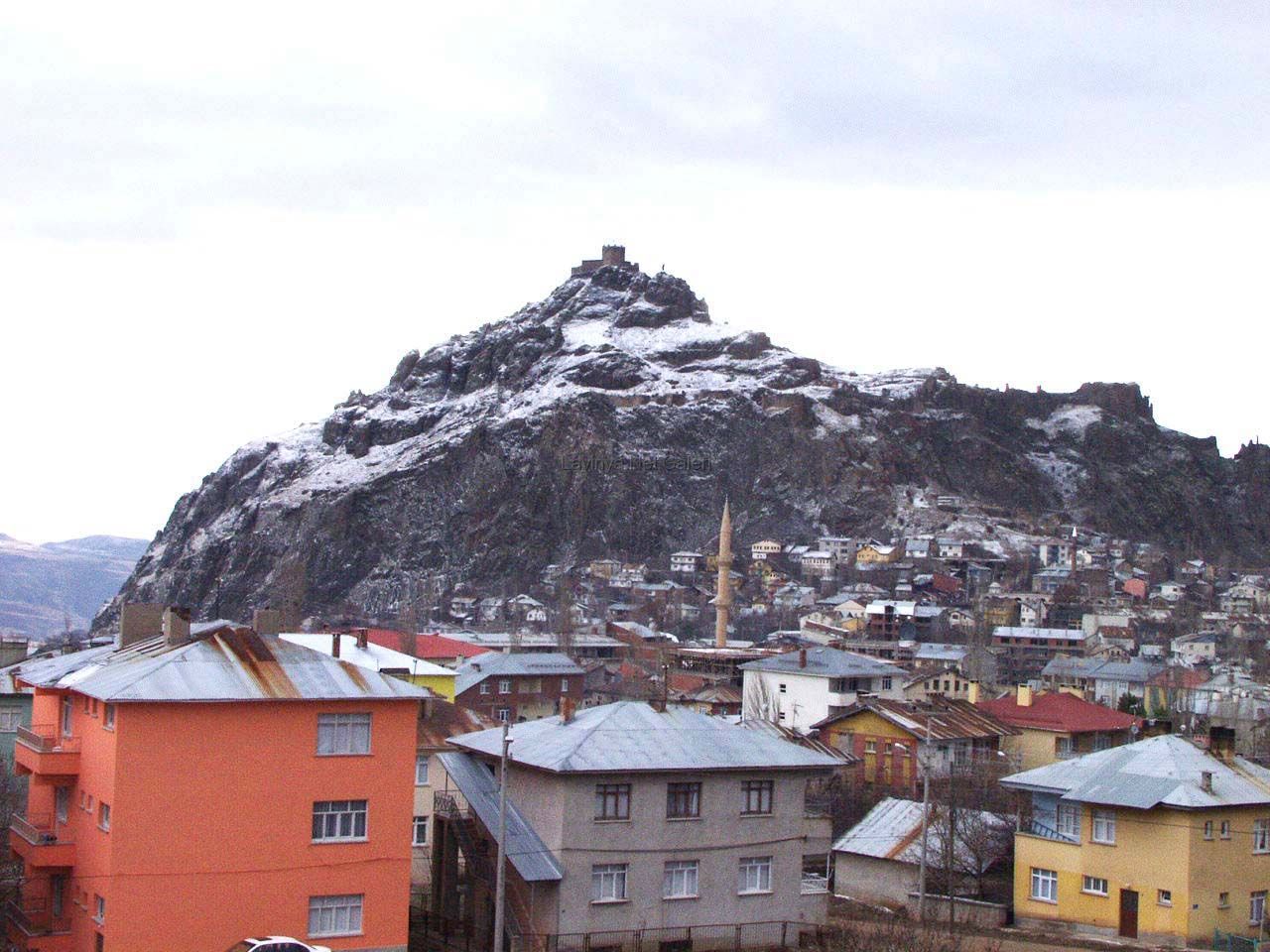 Şebinkarahisar