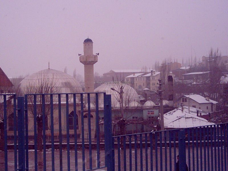 Şebinkarahisar