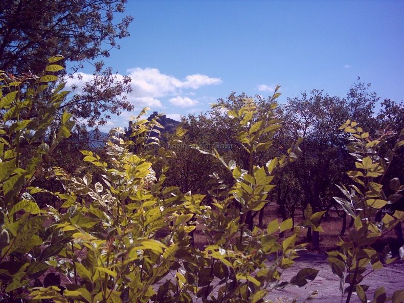 eylül