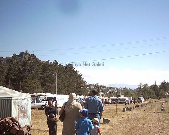 Şebinkarahisar