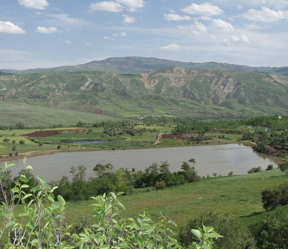 Şebinkarahisar